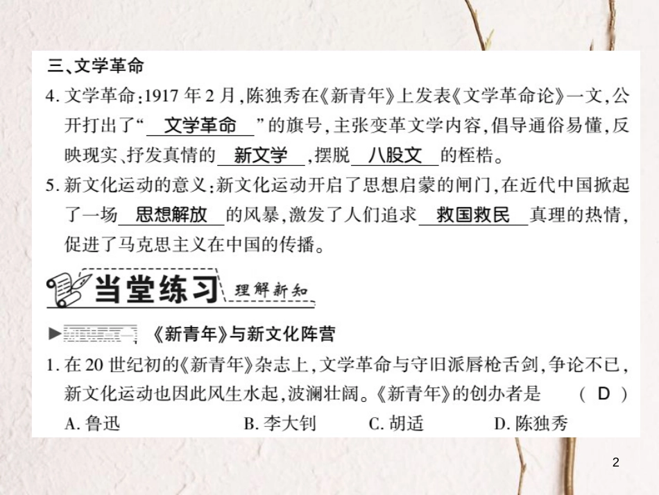 八年级历史上册 第2单元 辛亥革命与民国的创建 第11课 新文化运动习题课件 岳麓版_第2页