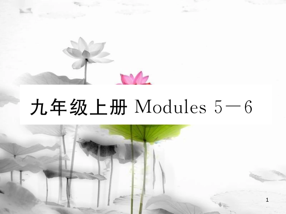 届中考英语总复习 九上 Modules 5-6课件 外研版_第1页