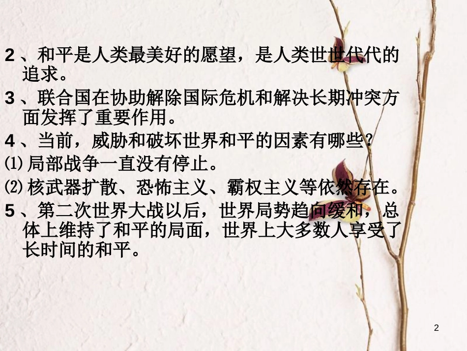 九年级政治全册 第六单元《漫步地球村》复习课件 教科版_第2页