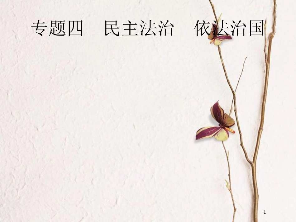 安徽省中考政治一轮复习 第二编 能力素养提升 第一部分 时政热点突破 专题4 民主法治 依法治国课件_第1页