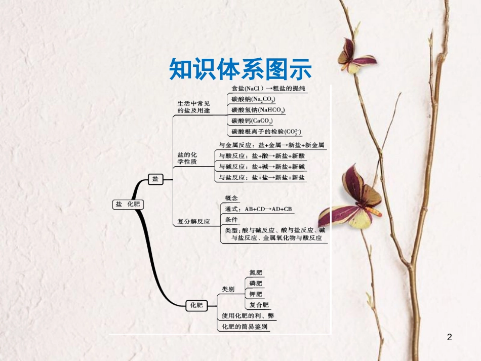 年中考化学一轮复习 第十一单元 盐 化肥 第2课时 化肥课件 （新版）新人教版_第2页