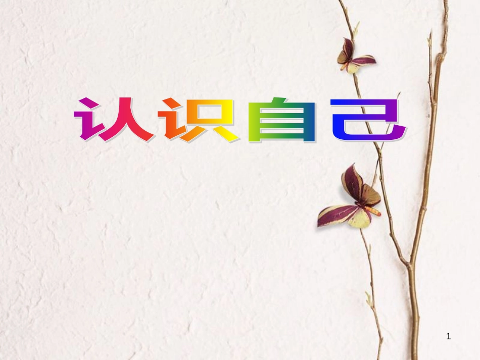 七年级道德与法治上册 第一单元 成长的节拍 第三课 发现自己 第1跨国 认识自己复习课件 新人教版_第1页