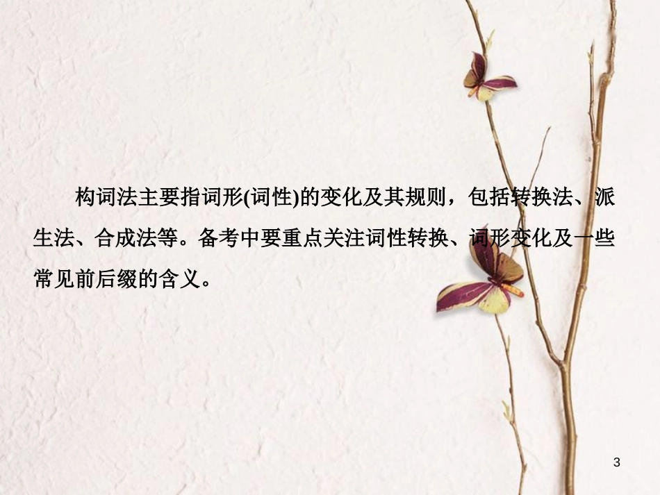 （新课标）高三英语一轮复习 语法部分 语法专项突破 第5讲 构词法课件_第3页
