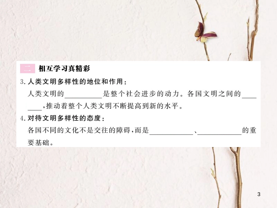 九年级政治全册 第一单元 世界大舞台 第一课 生活在地球村 第2框 村里的生活很不错课件 人民版_第3页