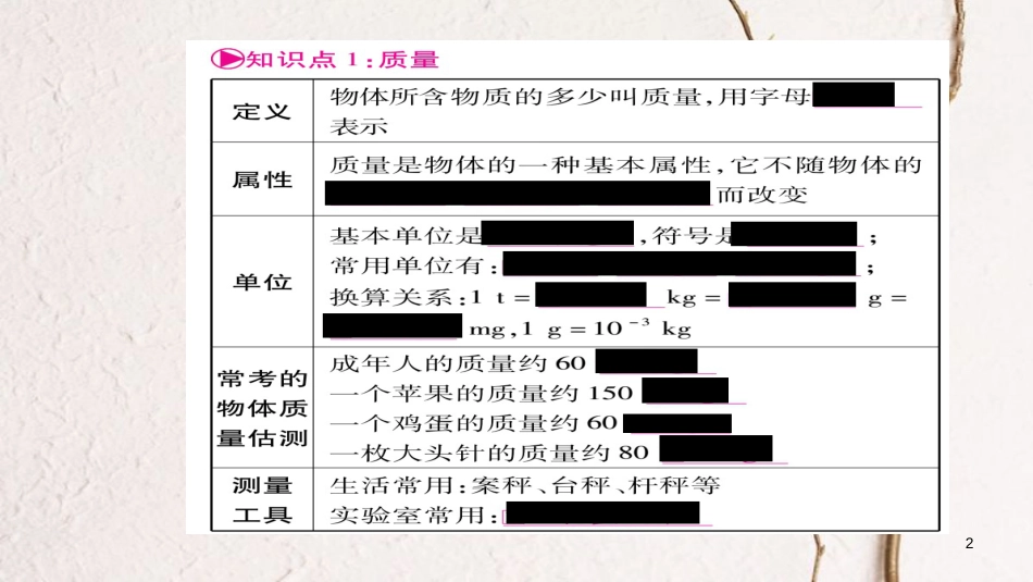 (云南专版)中考物理总复习 第6讲 质量及其密度课件_第2页