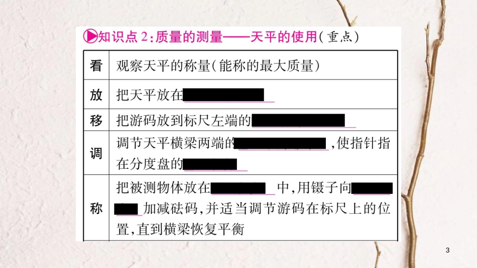 (云南专版)中考物理总复习 第6讲 质量及其密度课件_第3页