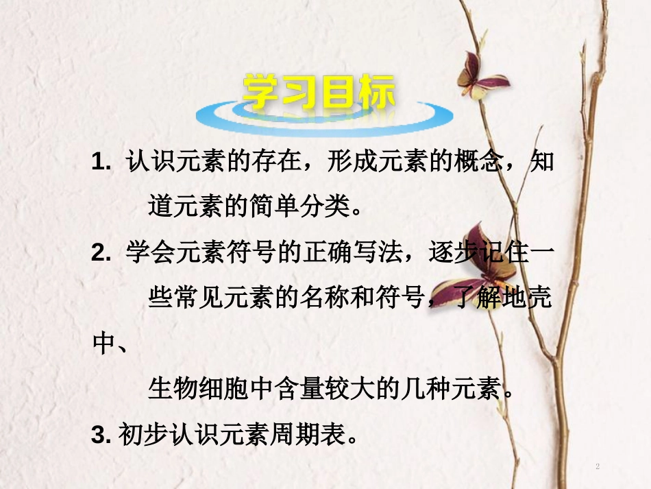 山东郓城县随官屯镇九年级化学上册 第3单元 物质构成的奥秘 课题3 元素课件 （新版）新人教版_第2页