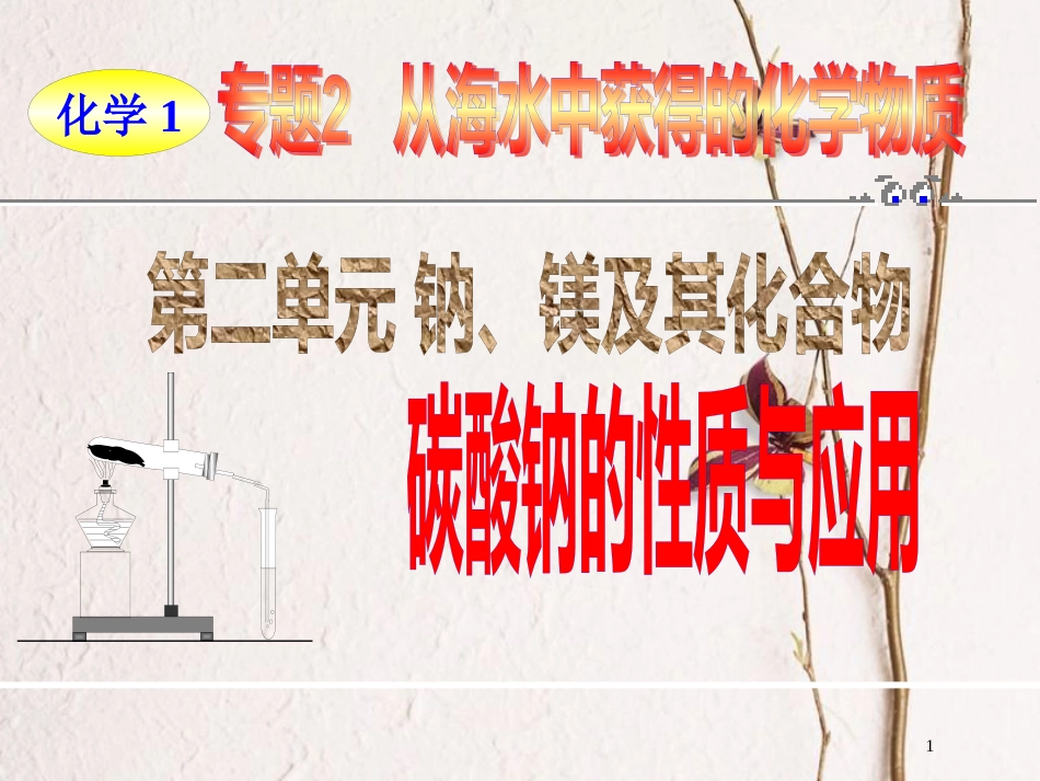 高中化学 专题2 从海水中获得的化学物质 第二单元 钠 镁及其化合物—碳酸钠的性质与应用课件 苏教版必修1_第1页