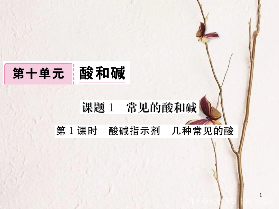 （安徽专版）九年级化学下册 10.1 常见的酸和碱 第1课时 酸碱指示剂 几种常见的酸练习课件 （新版）新人教版_第1页