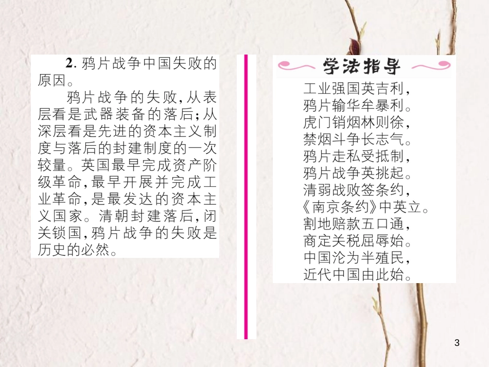 八年级历史上册 第一单元 中国开始沦为半殖民地半封建社会 第1课 鸦片战争作业课件 新人教版_第3页