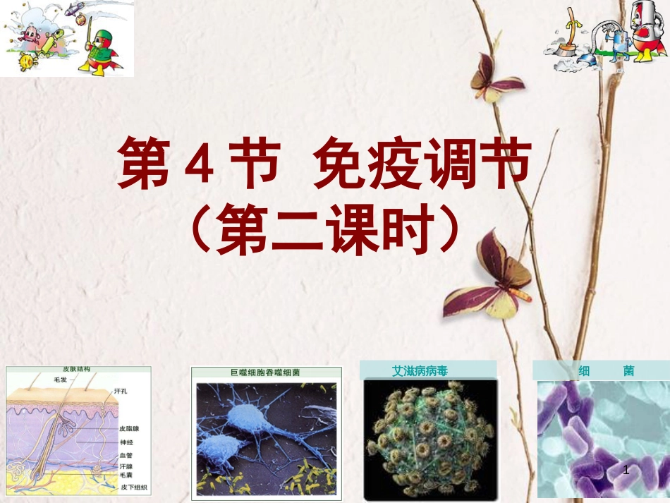 湖南省茶陵县高中生物 第二章 动物和人体生命活动的调节 2.4 免疫调节谷法娇课件 新人教版必修3_第1页