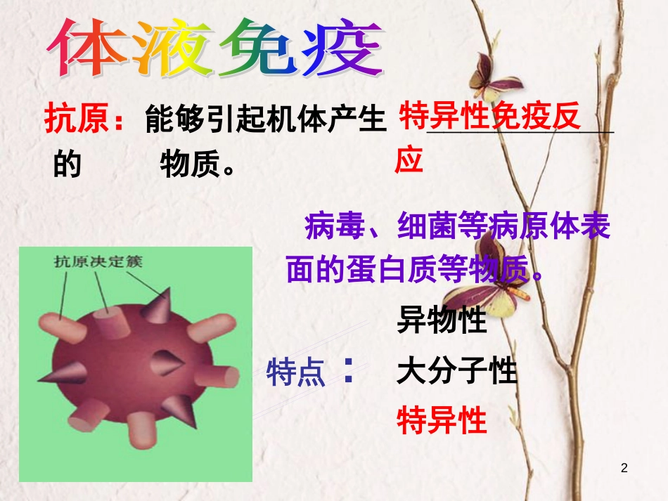 湖南省茶陵县高中生物 第二章 动物和人体生命活动的调节 2.4 免疫调节谷法娇课件 新人教版必修3_第2页