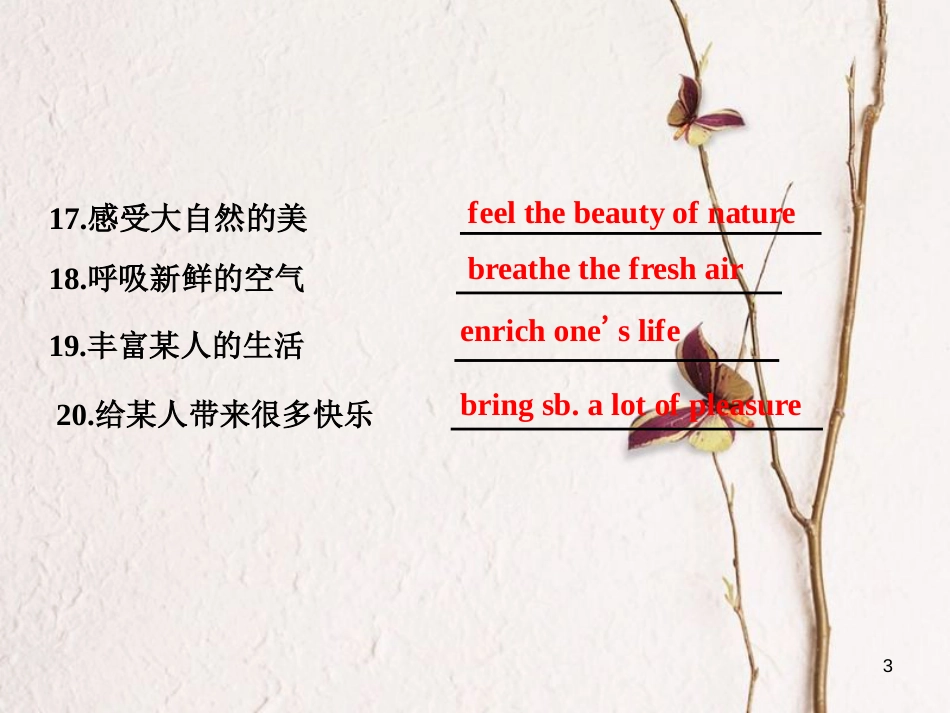 年高考英语二轮复习 专题辅导与测试四 热门话题下的书面表达 押题学案（九）兴趣与爱好课件_第3页