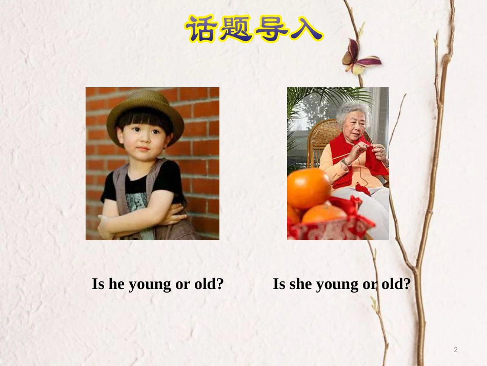 三年级英语上册 Unit 4 Family Lesson 22 How old are you课件 冀教版（三起）_第2页