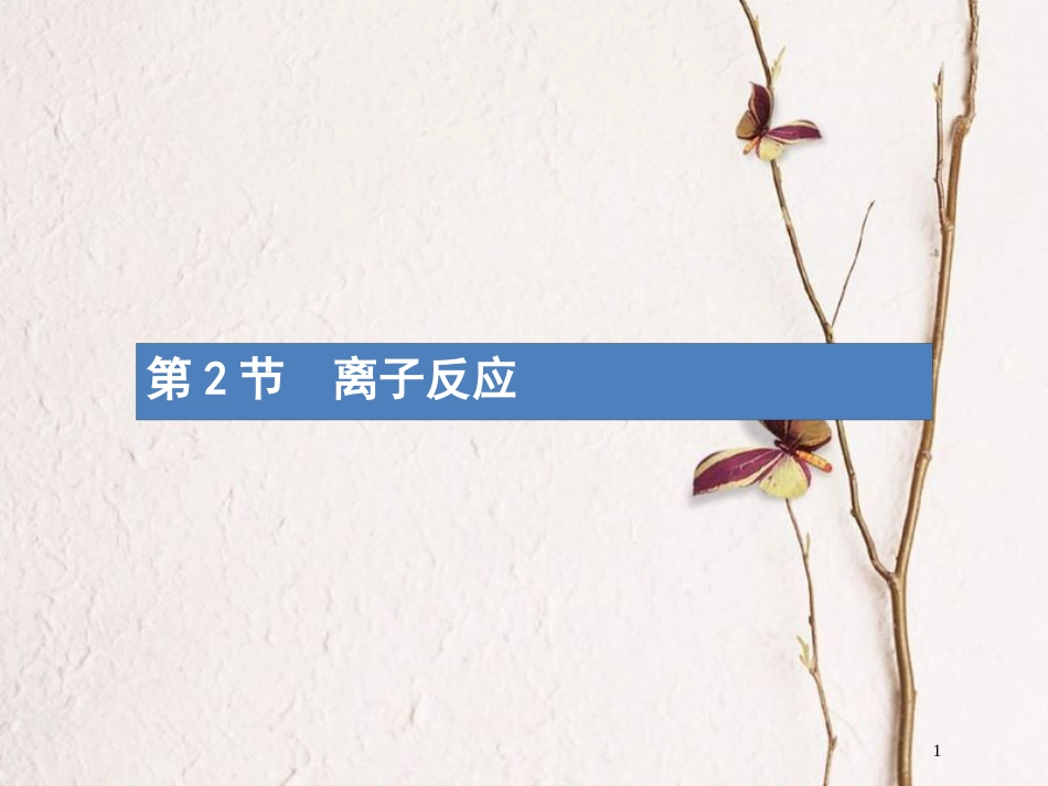 （新课标）2019版高考化学一轮复习 第二单元 化学物质及其变化 2.2 离子反应课件_第1页