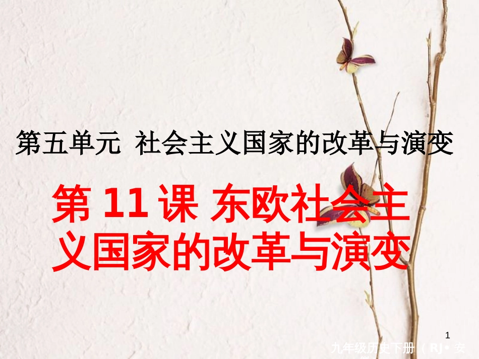 （安徽专版）九年级历史下册 第五单元 社会主义国家的改革与演变 第11课 东欧社会主义国家的改革与演变同步测试课件 新人教版_第1页