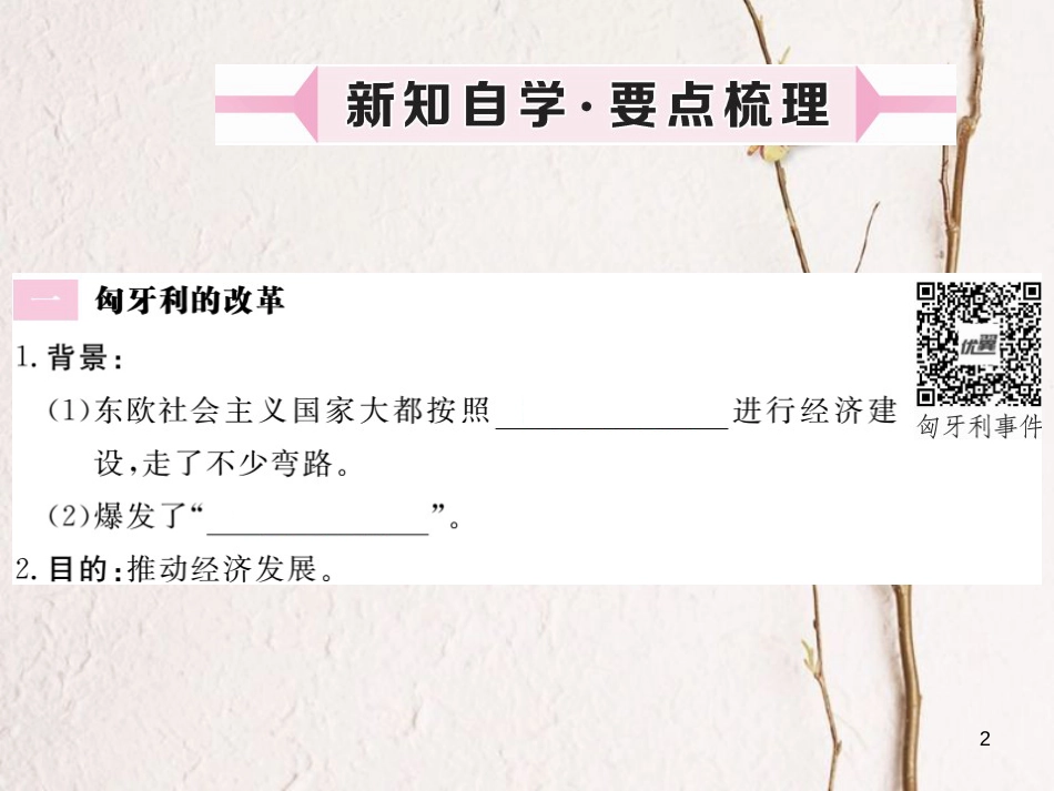 （安徽专版）九年级历史下册 第五单元 社会主义国家的改革与演变 第11课 东欧社会主义国家的改革与演变同步测试课件 新人教版_第2页