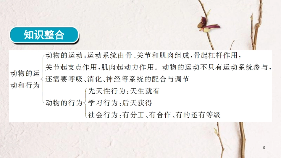 河南省2018年中考生物总复习 第2部分 模块1 专题5 动物的运动和行为课件_第3页