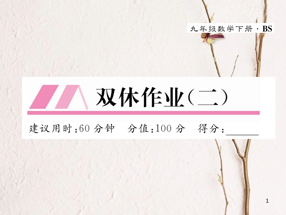 九年级数学下册 双休作业(二)作业课件 (新版)北师大版_第1页