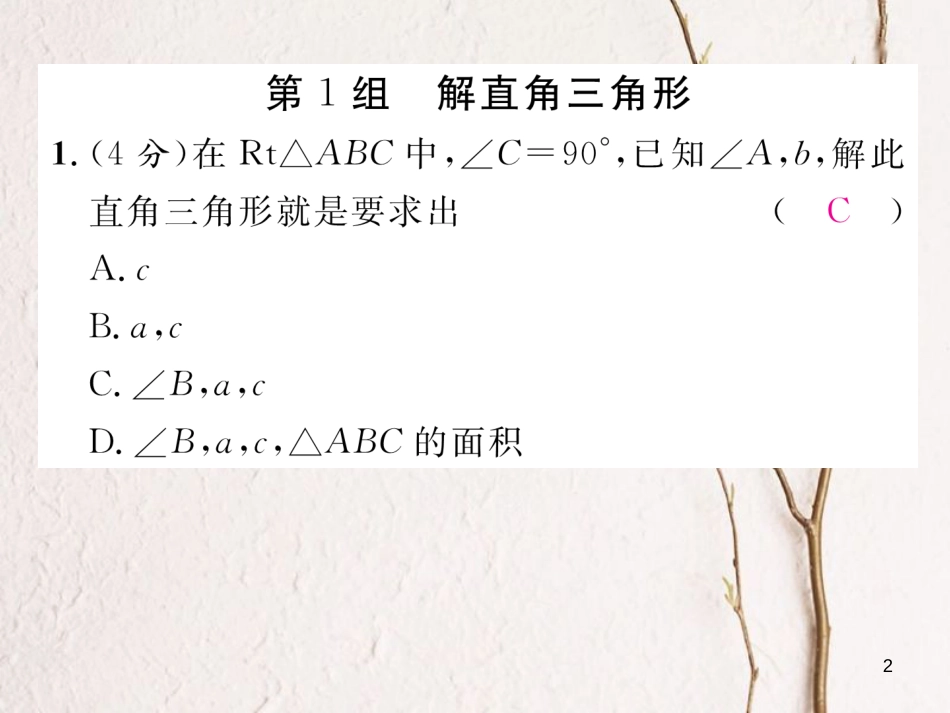 九年级数学下册 双休作业(二)作业课件 (新版)北师大版_第2页