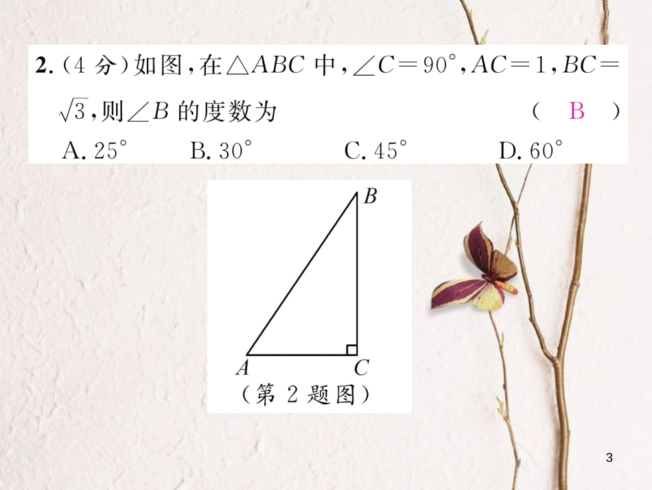 九年级数学下册 双休作业(二)作业课件 (新版)北师大版_第3页