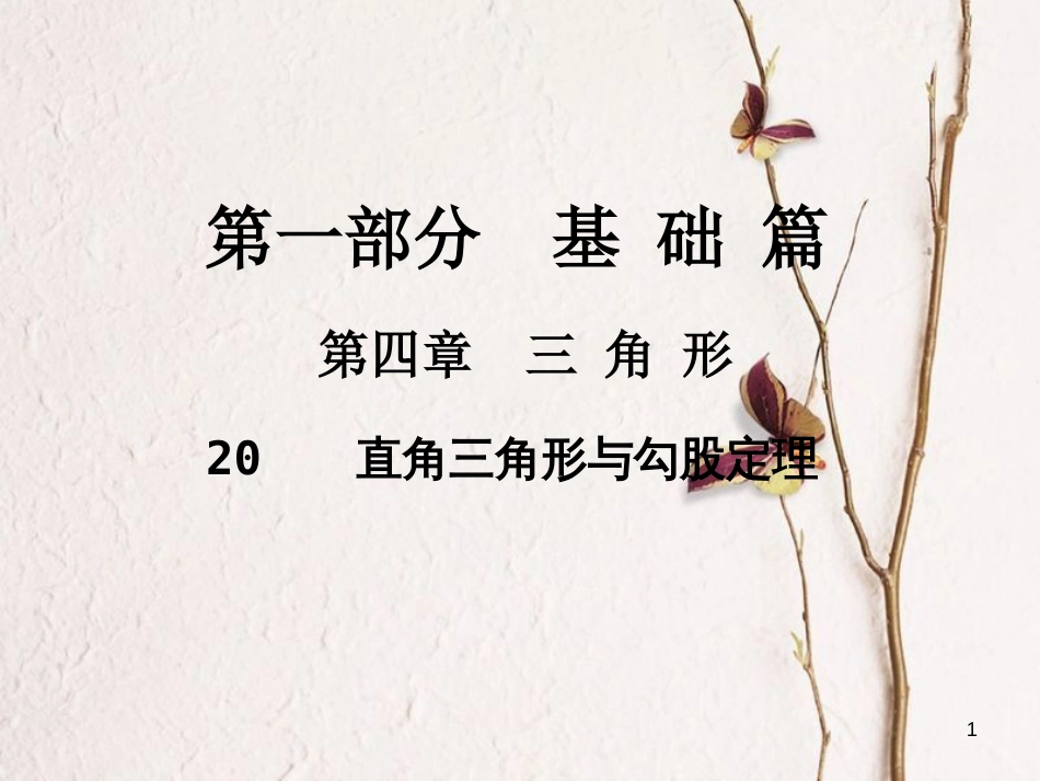 中考数学总复习 第一部分 基础篇 第四章 三角形 考点20 直角三角形与勾股定理课件_第1页