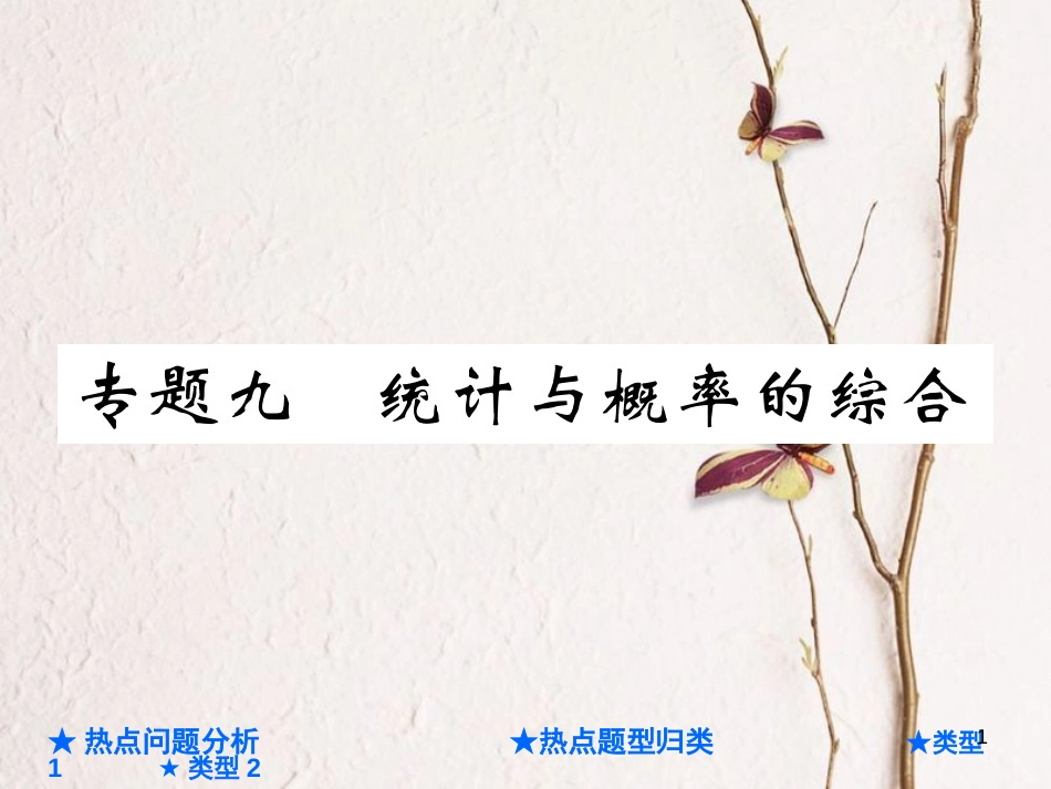 中考数学总复习 第二部分 重点专题提升 专题九 统计与概率的综合课件_第1页