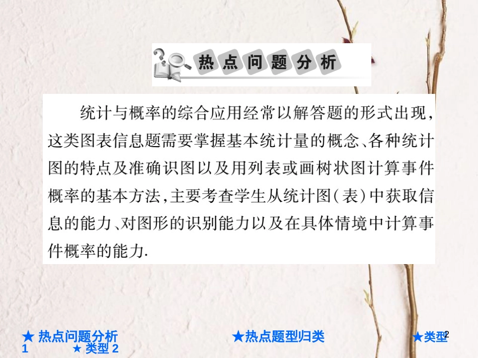 中考数学总复习 第二部分 重点专题提升 专题九 统计与概率的综合课件_第2页