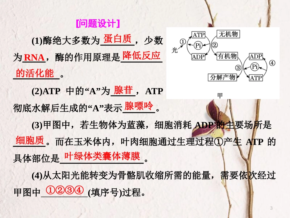 （全国通用）高考生物二轮复习 专题二 代谢 串讲一 酶和ATP 第2课时 高考研究课件_第3页