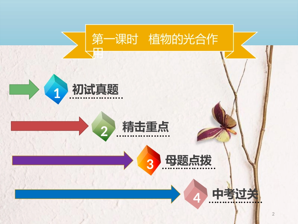 广东省中考生物 模块三 生物圈中的绿色植物 第一课时 植物的光合作用课件_第2页