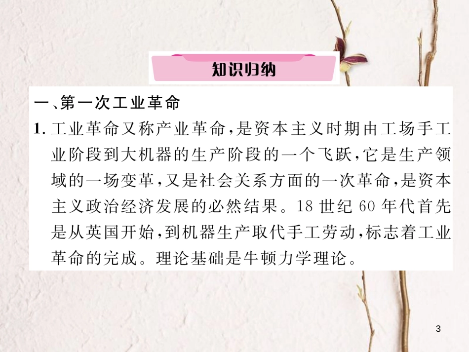 （河北专版）中考历史总复习 专题8 三次科技革命和经济全球化课件_第3页