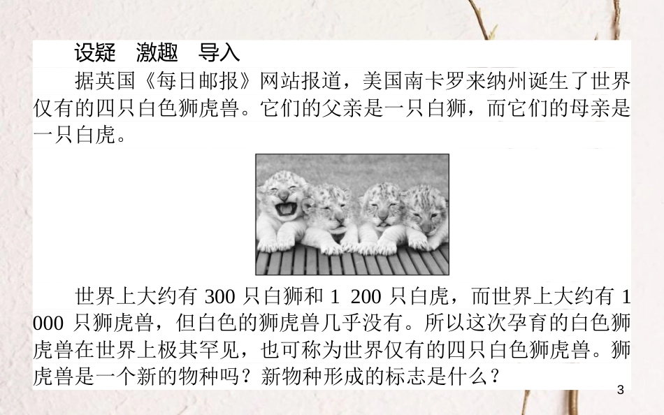高中生物 第七章 现代生物进化理论 7.2.2 物种的形成、共同进化和生物多样性课件 新人教版必修2_第3页