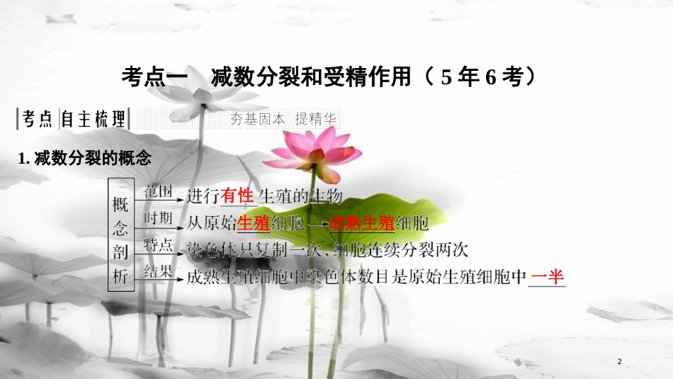届高考生物一轮复习 第四单元 细胞的生命历程 第12讲 减数分裂和受精作用课件_第2页