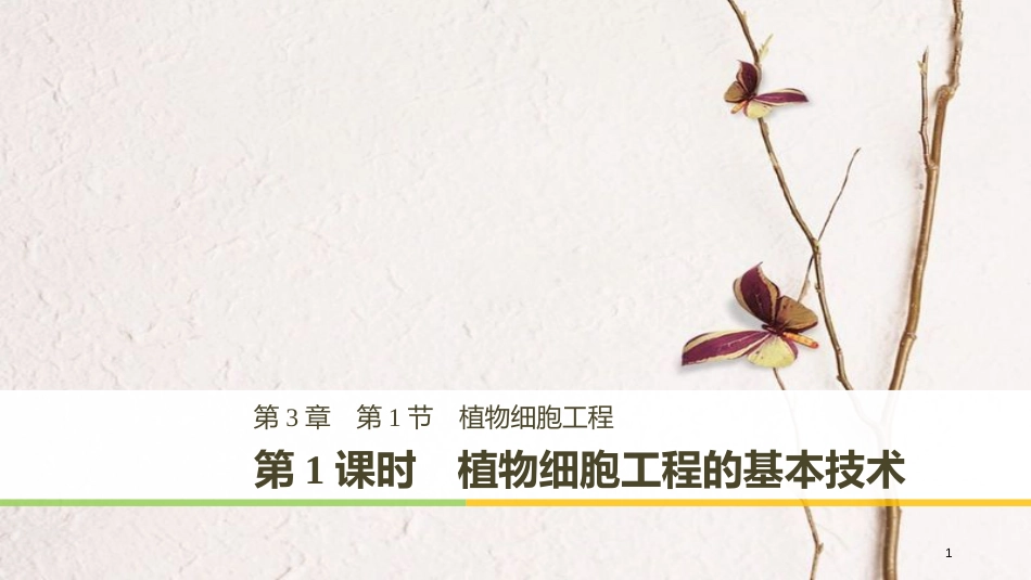 高中生物 第3章 细胞工程 第1节 植物细胞工程 第1课时 植物细胞工程的基本技术同步备课课件 北师大版选修3_第1页