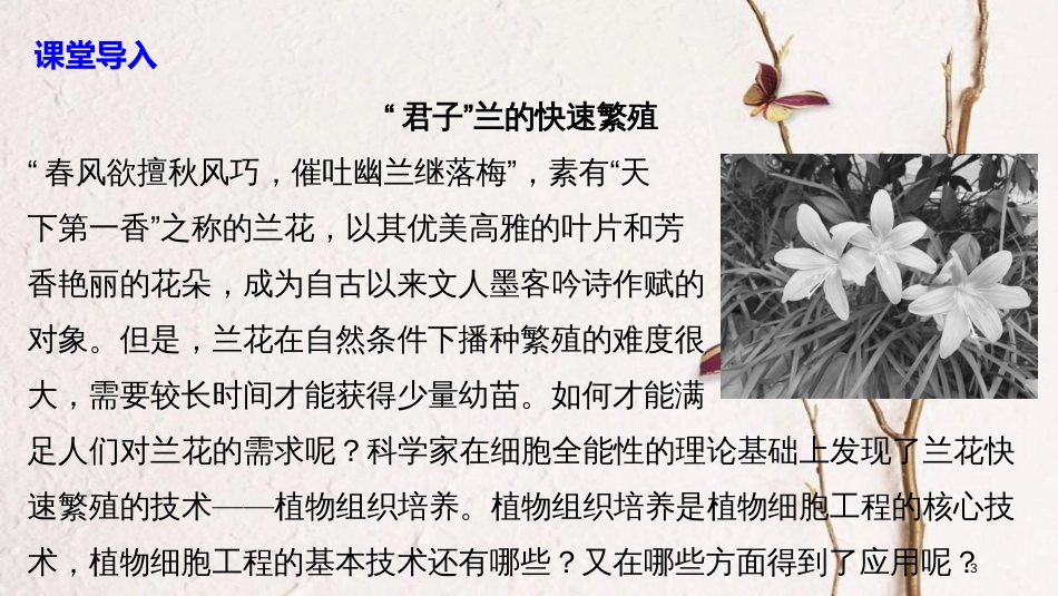 高中生物 第3章 细胞工程 第1节 植物细胞工程 第1课时 植物细胞工程的基本技术同步备课课件 北师大版选修3_第3页
