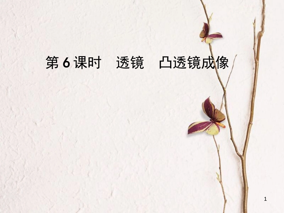中考物理总复习 第6课时 透镜 凸透镜成像课件_第1页