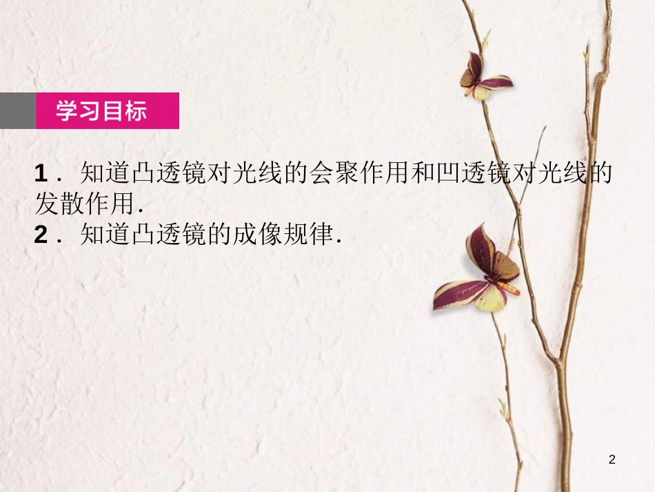 中考物理总复习 第6课时 透镜 凸透镜成像课件_第2页