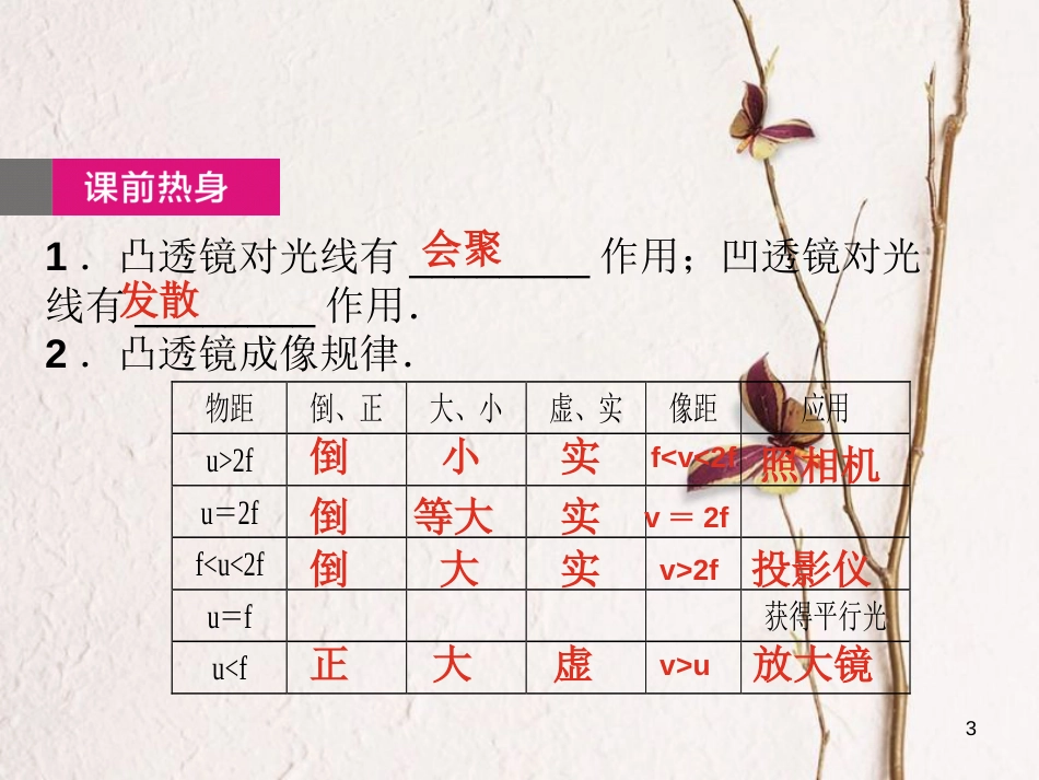 中考物理总复习 第6课时 透镜 凸透镜成像课件_第3页