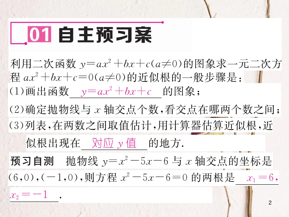 九年级数学下册 第2章 二次函数 5 二次函数与一元二次方程（第2课时）求一元二次方程的近似根作业课件 （新版）北师大版_第2页