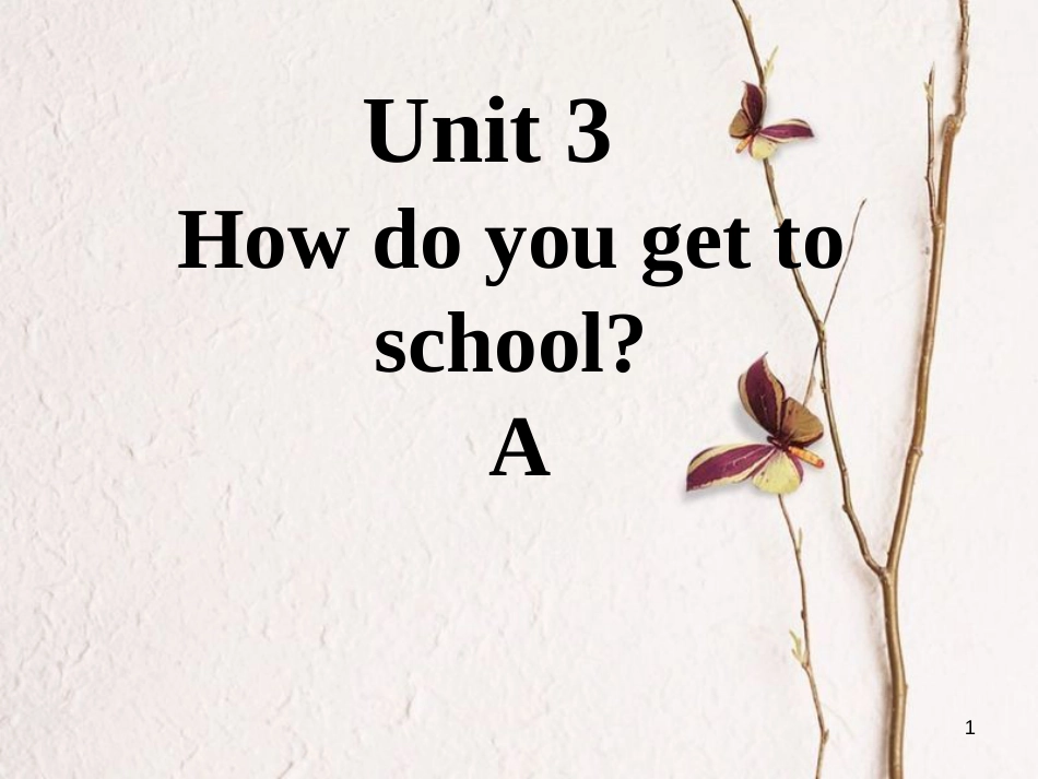 七年级英语下册 口头表达专练 Unit 3 How do you get to school Section A课件 （新版）人教新目标版_第1页