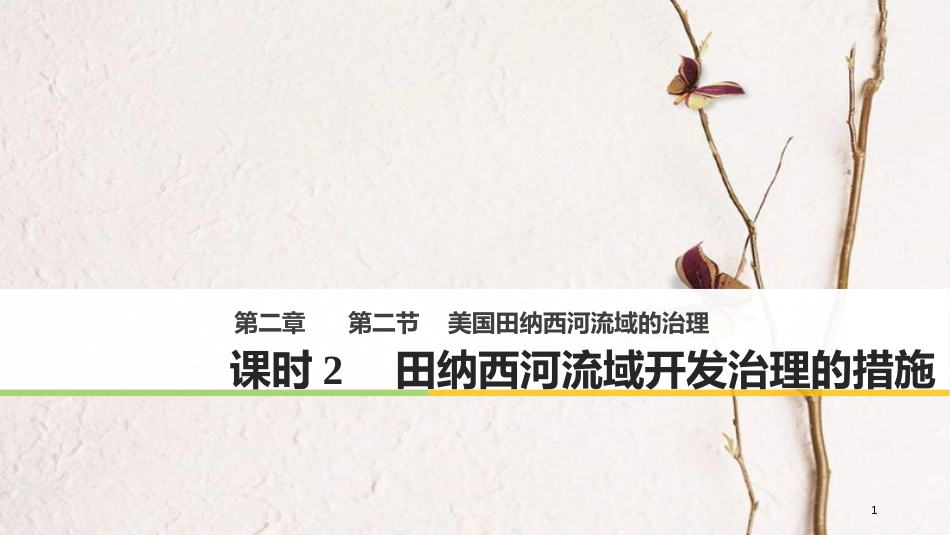 高中地理 第二章 区域可持续发展 第二节 美国田纳西河流域的治理（2）同步备课课件 中图版必修3_第1页