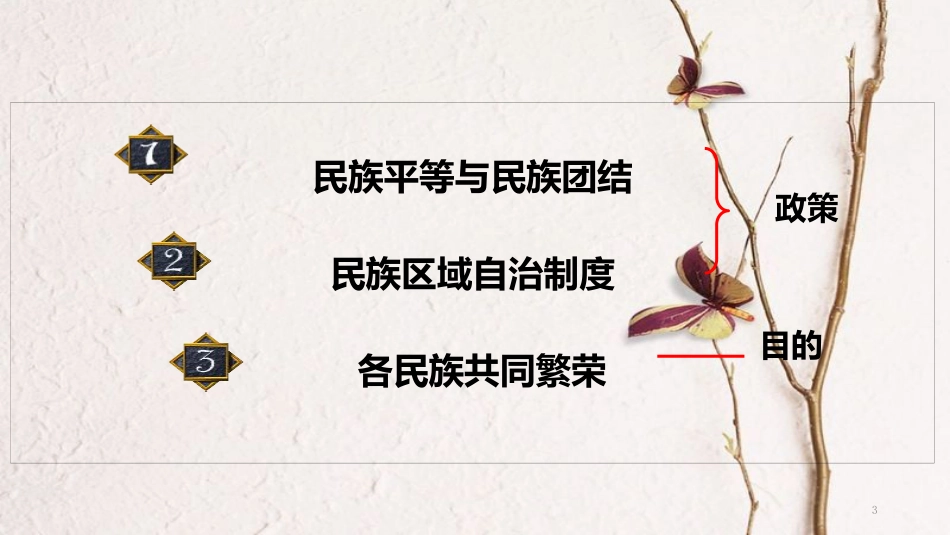 八年级历史下册 第4课《民族团结与民族区域自治》课件 华东师大版_第3页