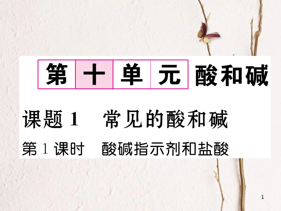 九年级化学下册 第10单元 酸和碱 课题1 常见的酸和碱（第1课时）酸碱指示剂和盐酸作业课件 （新版）新人教版_第1页