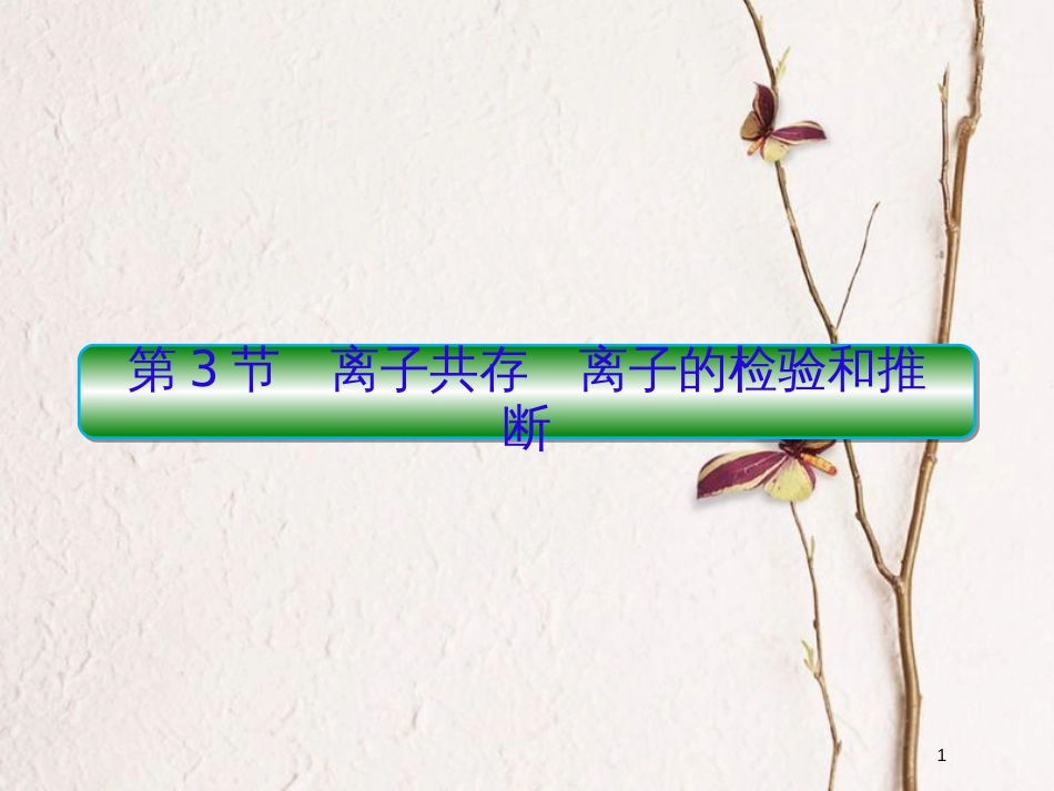 2019届高考化学一轮复习 第二章 化学物质及其变化 第3节 离子共存 离子的检验和推断课件_第1页