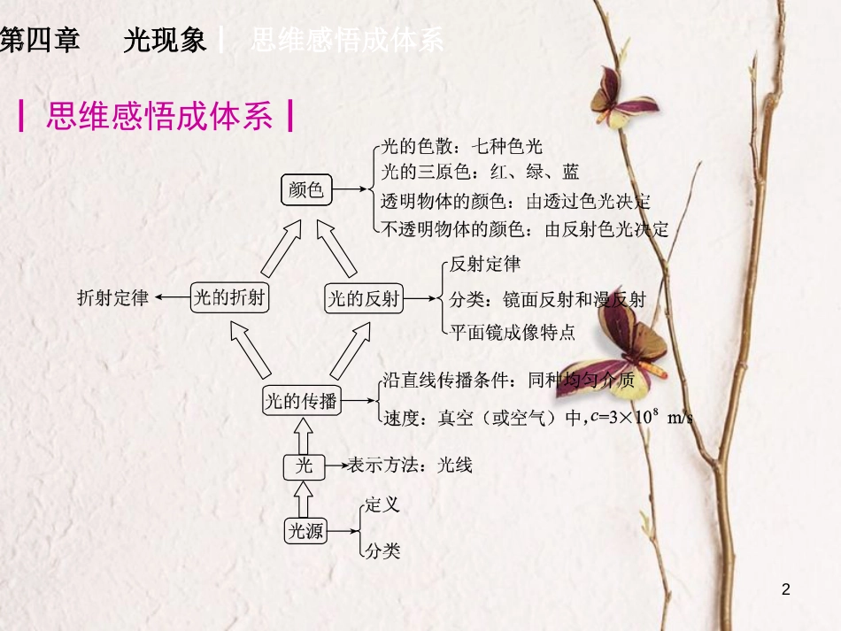 山东省新泰市中考物理 第四章 光现象复习课件 新人教版_第2页