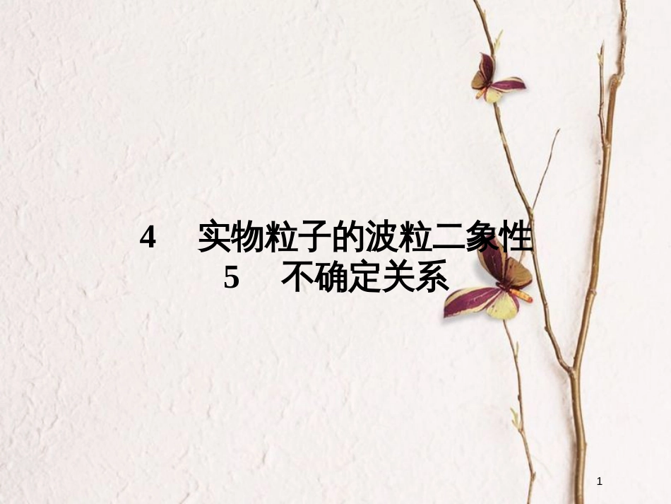 高中物理 第四章 波粒二象性 4.4 实物粒子的波粒二象性 4.5 不确定关系课件 教科版选修3-5_第1页