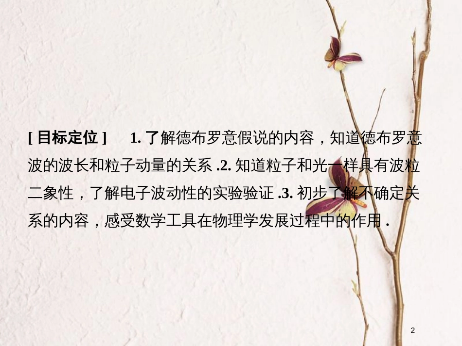 高中物理 第四章 波粒二象性 4.4 实物粒子的波粒二象性 4.5 不确定关系课件 教科版选修3-5_第2页