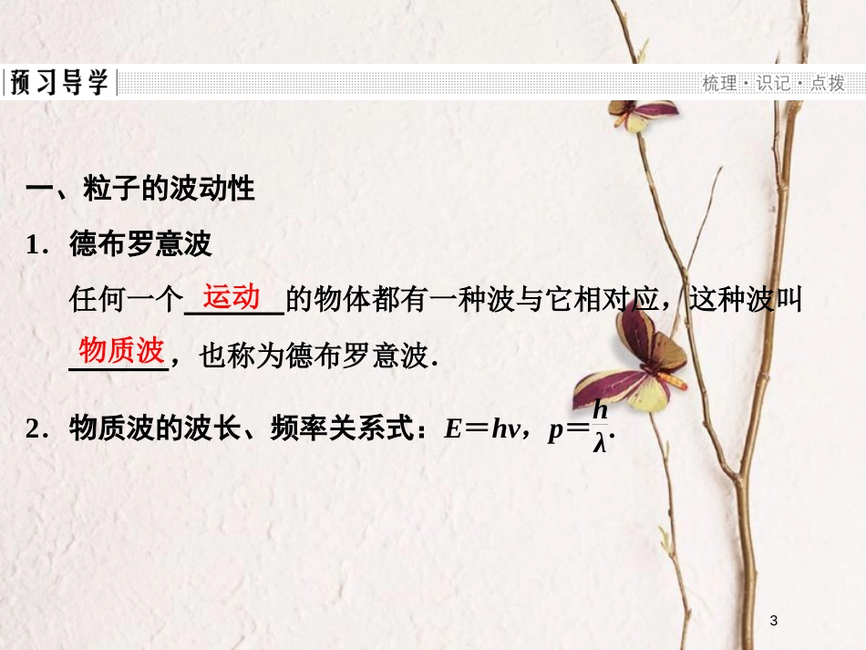 高中物理 第四章 波粒二象性 4.4 实物粒子的波粒二象性 4.5 不确定关系课件 教科版选修3-5_第3页