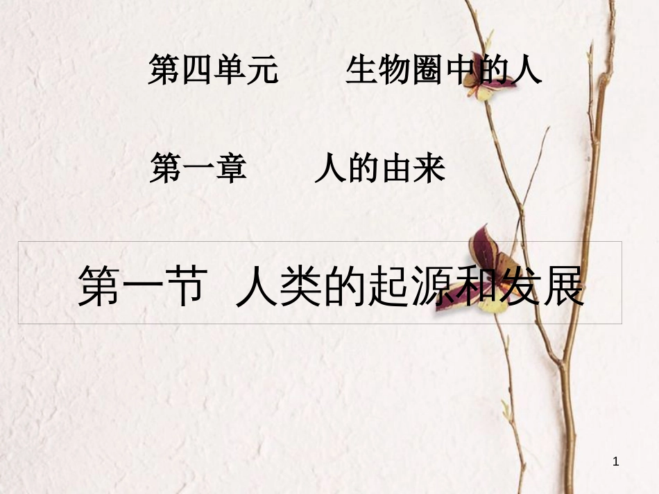 湖南省张家界市桑植县七年级生物下册 第四单元 第一章 第一节 人类起源和发展课件 （新版）新人教版_第1页
