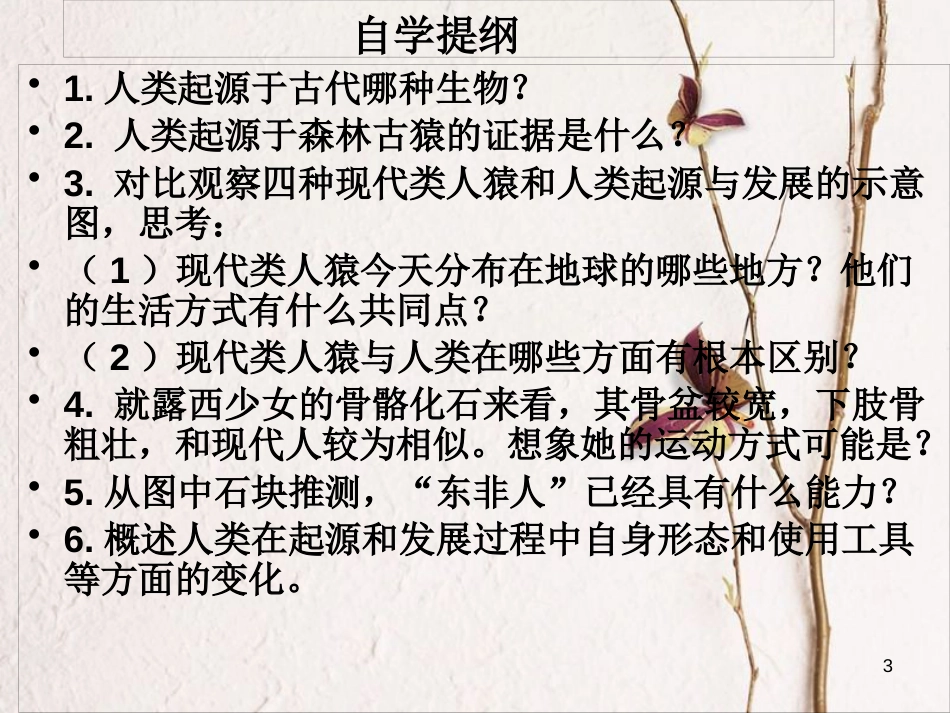 湖南省张家界市桑植县七年级生物下册 第四单元 第一章 第一节 人类起源和发展课件 （新版）新人教版_第3页